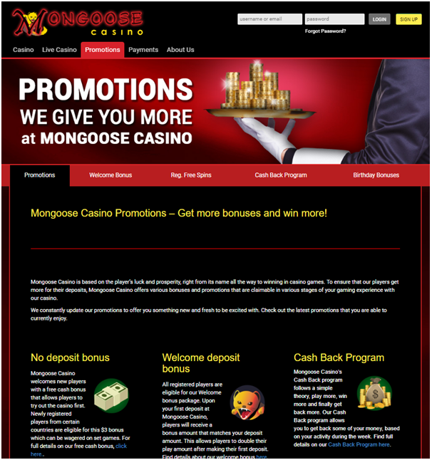 How To Win Money Back From Casino